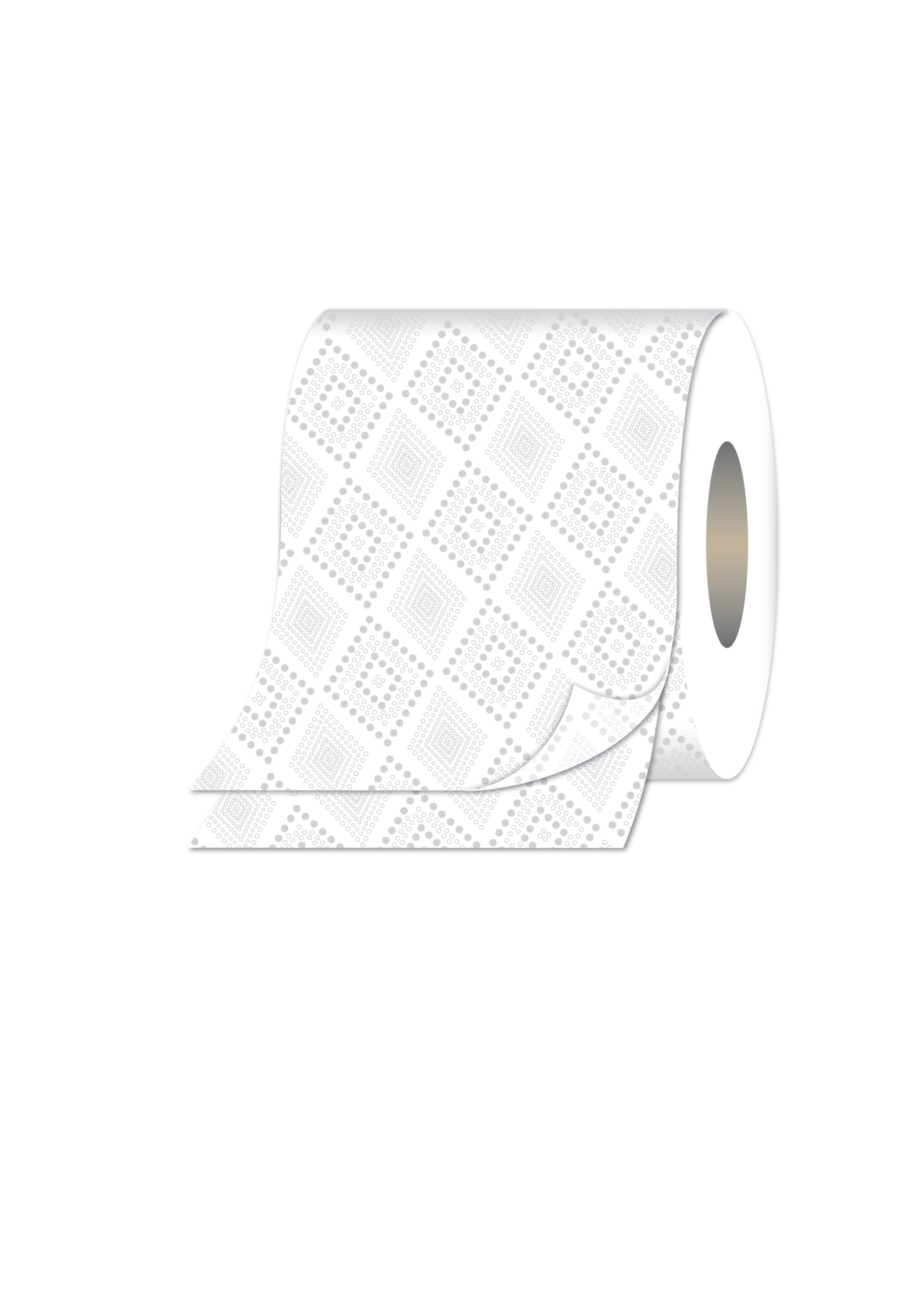 Cushion Soft 2ply Toilet rolls – 2 Packs of 24 (48 Rolls)