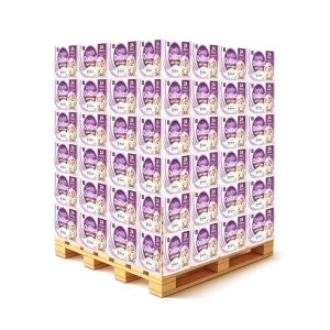 Nova_GQ NEW 24pk Pallet 2026 01