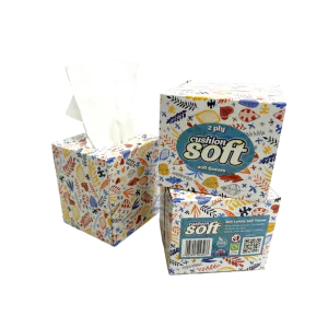 Cushion Soft 2ply Facial Tissues - 24 Cube Boxes (70 sheets each)