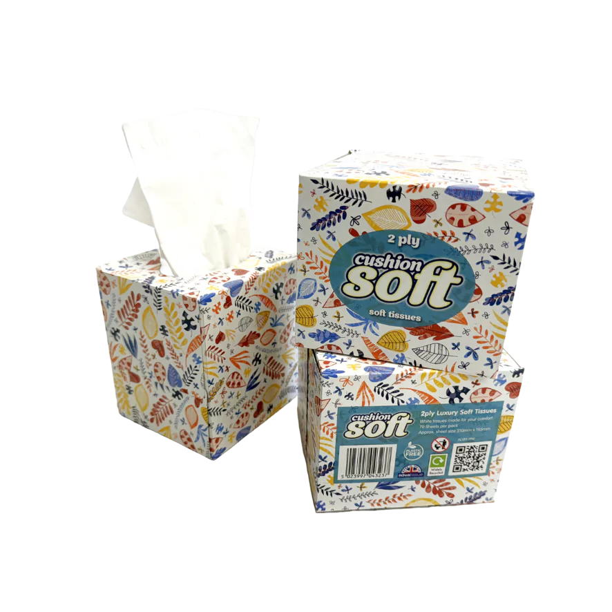Cushion Soft 2ply Facial Tissues - 24 Cube Boxes (70 sheets each)