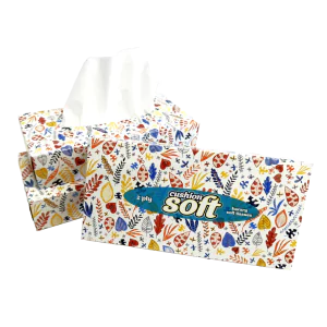 Cushion Soft 2ply Facial Tissues - 24 Regular Boxes (100 sheets each)