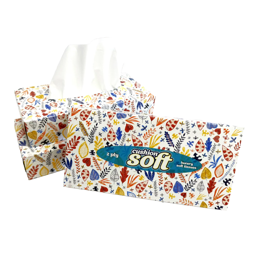 Cushion Soft 2ply Facial Tissues - 24 Regular Boxes (100 sheets each)
