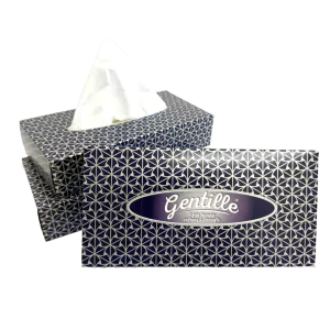 Gentille 3ply Facial Tissues - 24 Regular Boxes (70 sheets each)