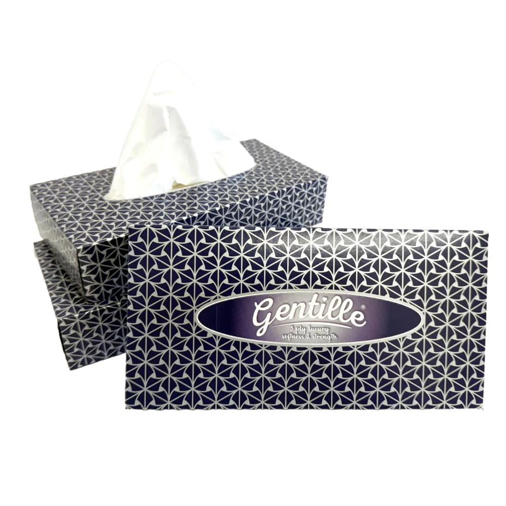 Gentille 3ply Facial Tissues - 24 Regular Boxes (70 sheets each)