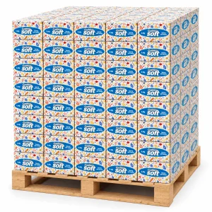 Cushion Soft 2ply Facial Tissues - 24 Regular Boxes (Pallet Deal)